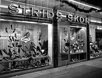 15113.jpg